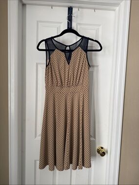 Enfocus Studio Tan Polka Dot Midi Dress with Black Mesh Yoke
